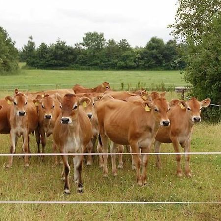 Gite A La Ferme, Au Coeur Du Mene Laurenan Экстерьер фото